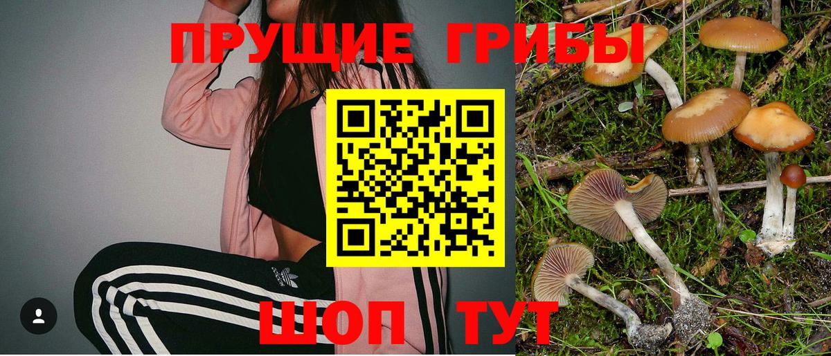 Выборг  Галлюциногенные грибы MAGIC MUSHROOMS  Вход с VPN 